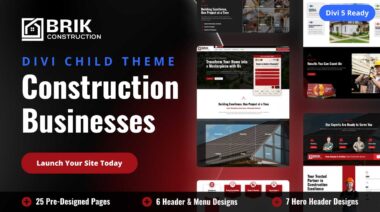 Brik Divi child theme