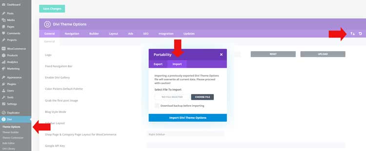 Import Divi Theme Options