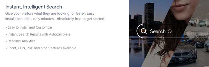 SearchIQ: Real-Time Analytics and Advanced Features