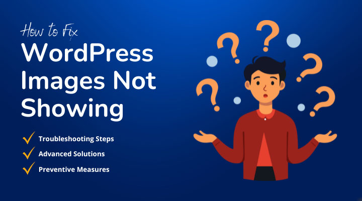 WordPress images not showing